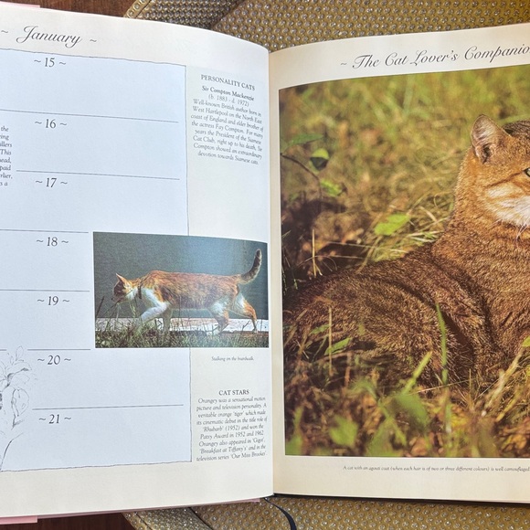 Cat Zodiac Calendar Schedule Picture Book - Picture 9 of 14